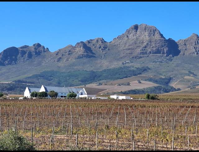 10HA FARM FOR SALE IN STELLENBOSCH FARMS